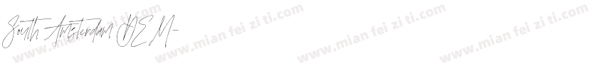 South Amsterdam DEM字体转换